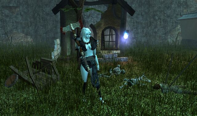 A customized barbarian character in Sinfar